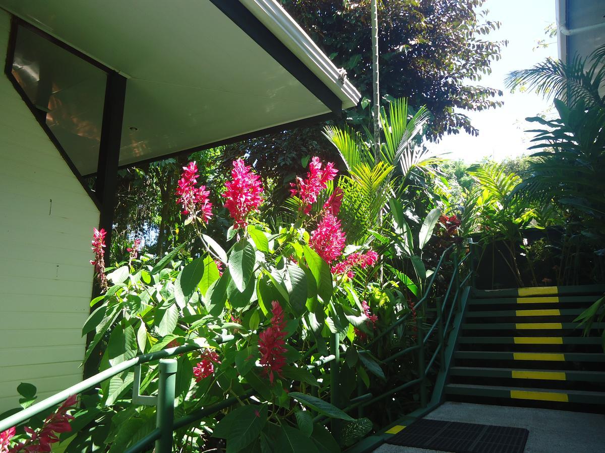 Hotel Mandarina Quepos Exterior photo